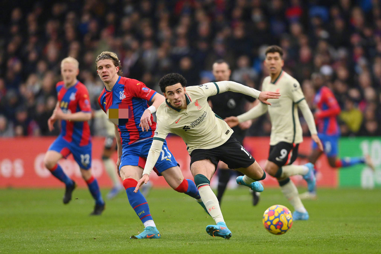 几周成为足 几周成为足